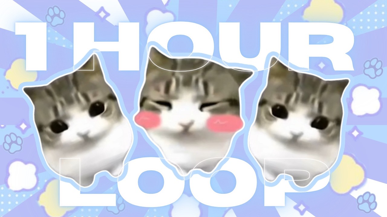 Dam Dam Didi Didi - Yes Cat  [ 1 HOUR ]
