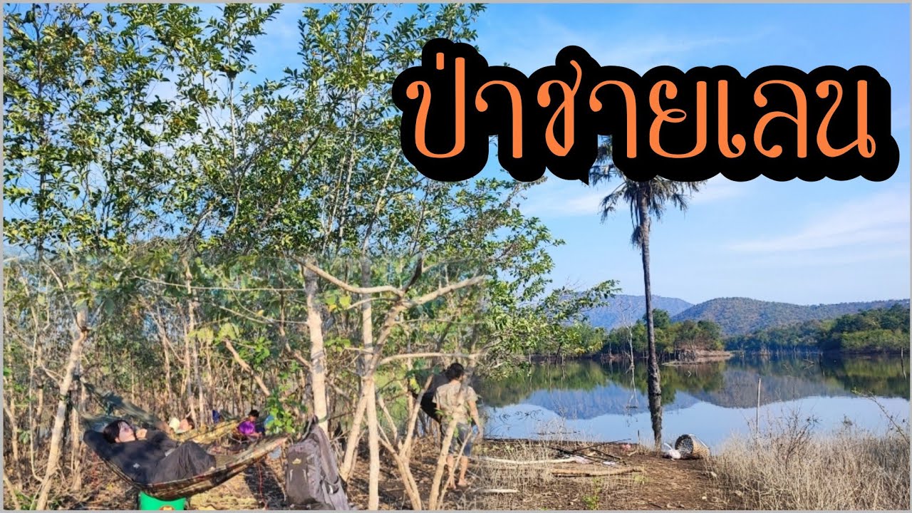 วรวิชพานอนป่าชายเลน กลางดงมดแดง พักผ่อน ตกปลา ชิวๆ กับแก๊งหนุ่มๆ