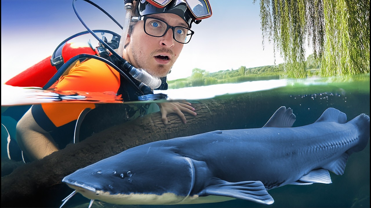 How Many Species Can I Catch In One Day?