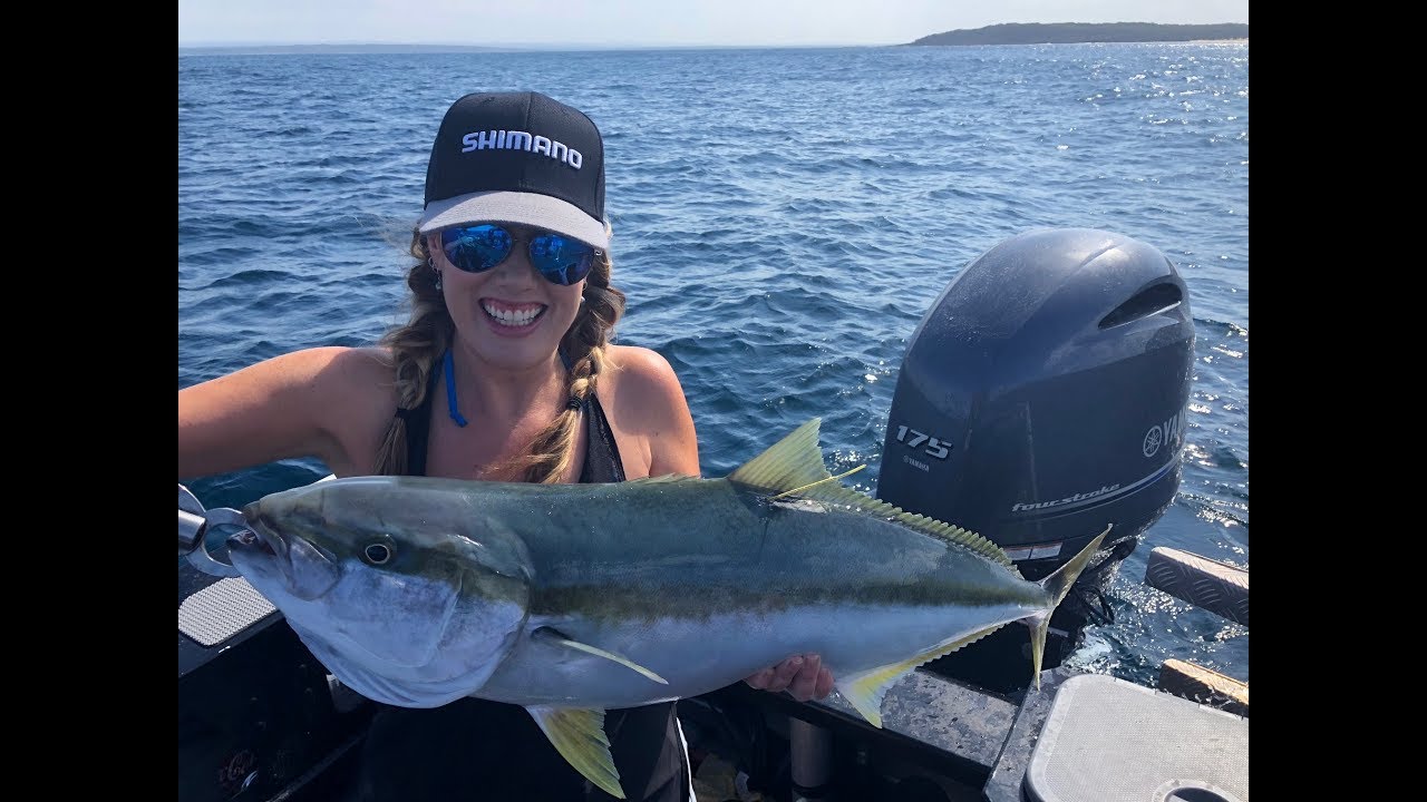 IFISH Kingfish in Jervis Bay