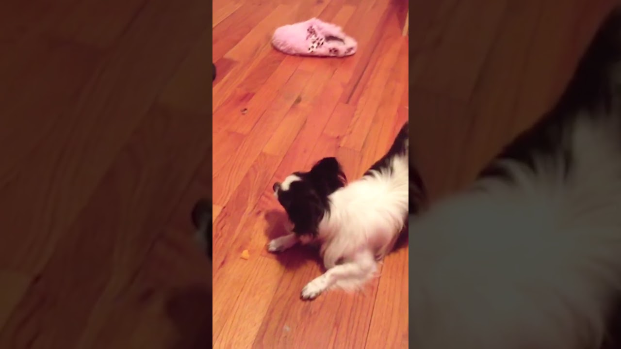 Fails Galore: A Compilation of Hilarious and Epic Fail Moments | funnyfails