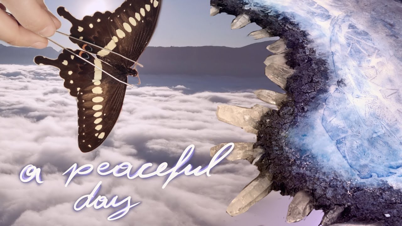 über den Wolken fliegen / Entomologie & Kunst Kontent