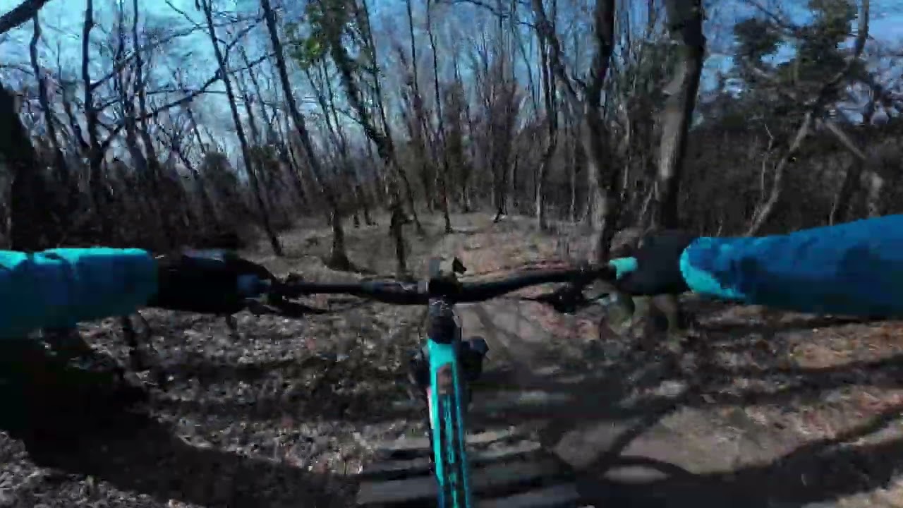 Zelena Magistrala-Vepar-Nepar-Mali Pariz-Dji action 2
