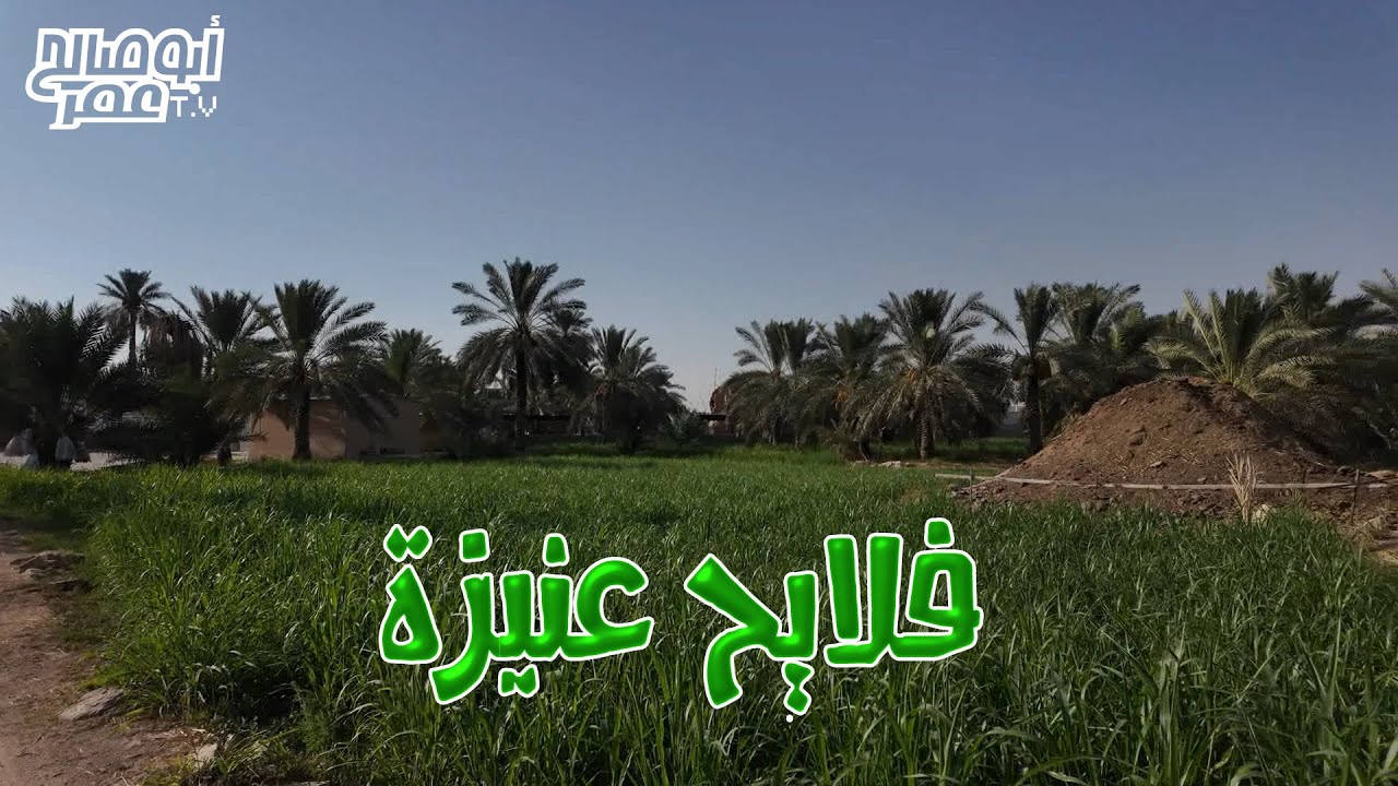 فلايح عنيزة