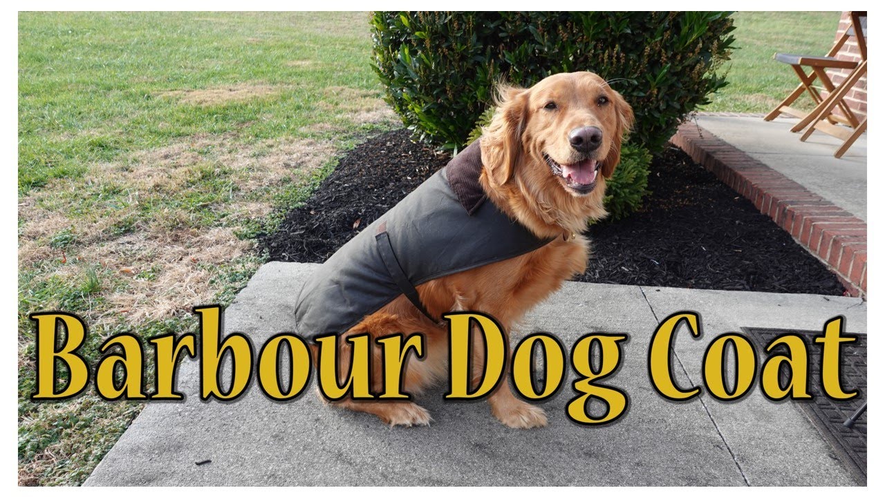 Barbour dog coat