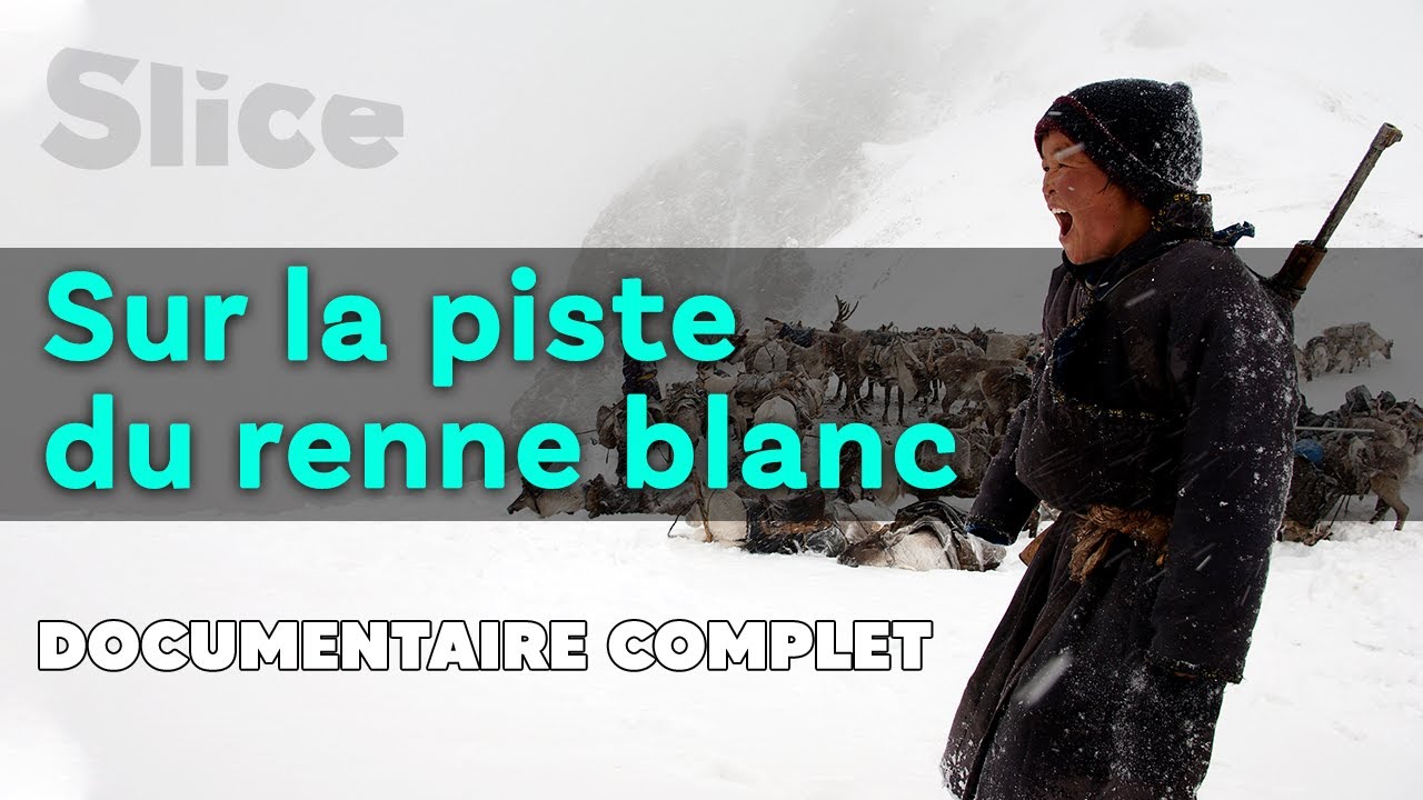 Sur la piste du renne blanc | SLICE | DOC COMPLET
