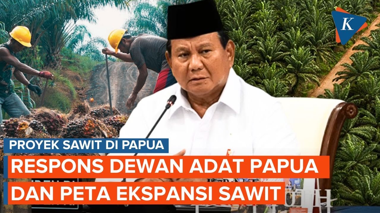 Prabowo Mau Tanam  Sawit di Papua, Dewan Adat: Kami Tak Mau Wariskan Bencana ke Anak-Cucu
