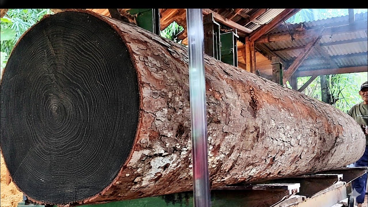 🌲AMAZING! HUGE Hundred-Year-Old Log Successfully Split🌲