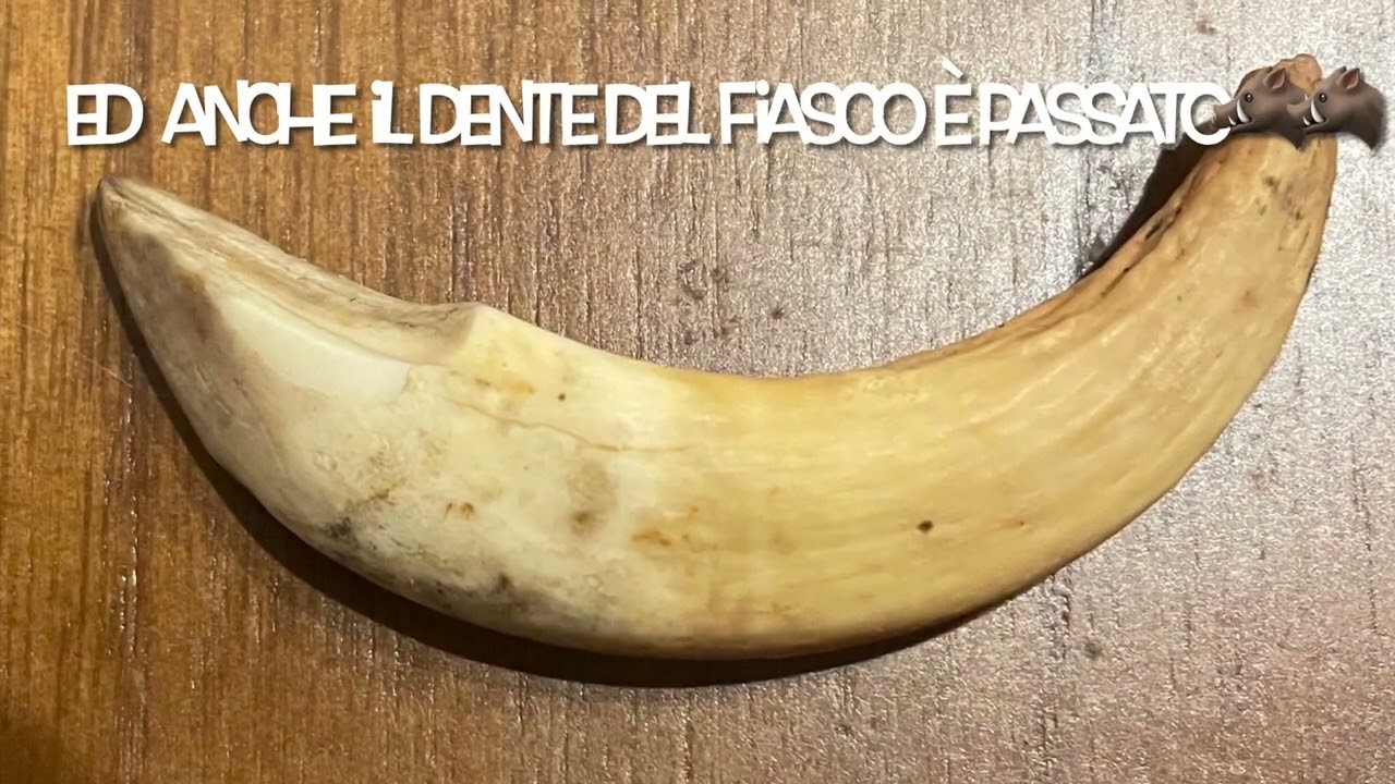 IL SENTIERO PERDUTO e TRAIL IL “FIASCO”