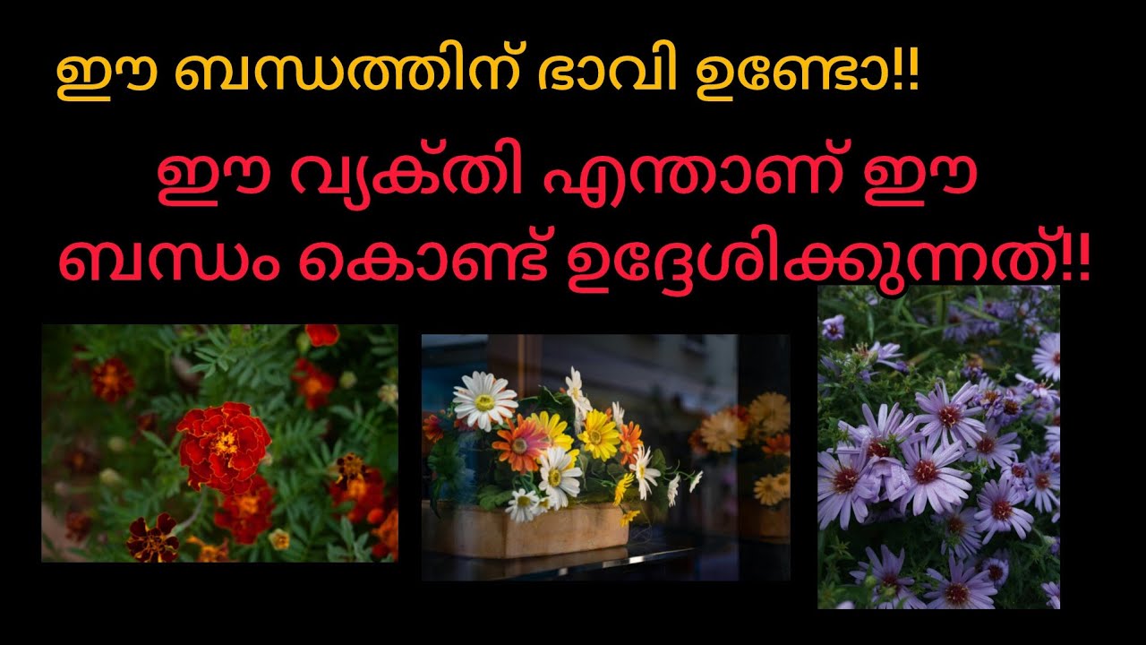 ഈ ഒരു ബന്ധവും ഈ ഒരു വ്യക്തിയും നിങ്ങളെ എവിടേക്ക് നയിക്കും 