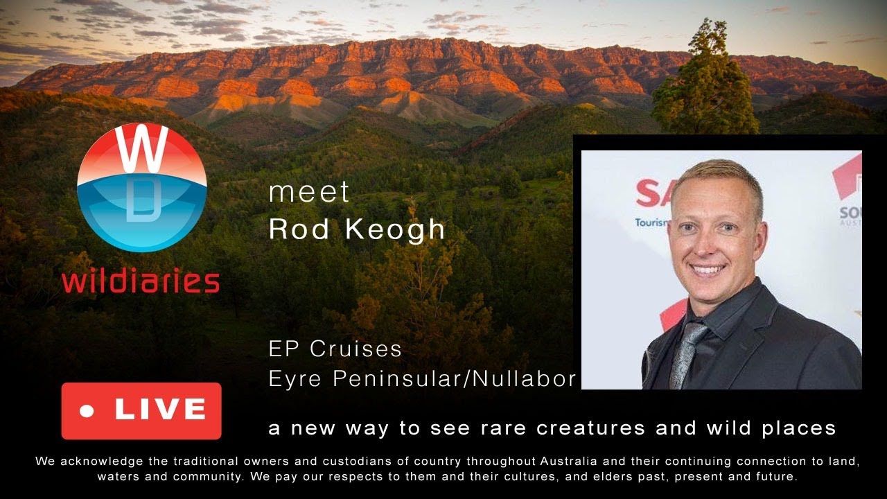 Wildiaries VentureSome Live - Rod Keogh, EP Cruises