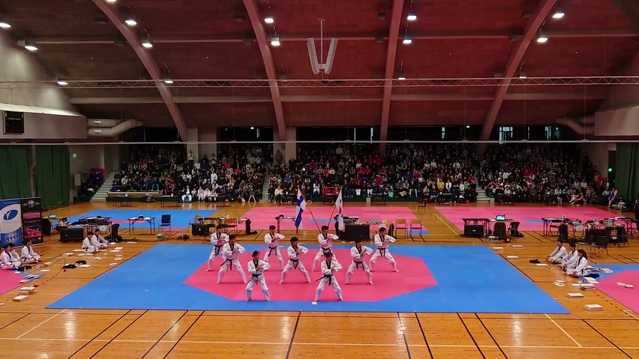 Kukkiwon Demonstration Team First Time In Finland