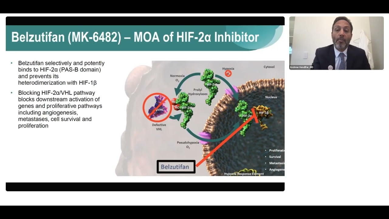 Belzutifan Trial: Phase 2 study to evaluate the efficacy and safety (Dr. Hendifar) - June 15, 2022