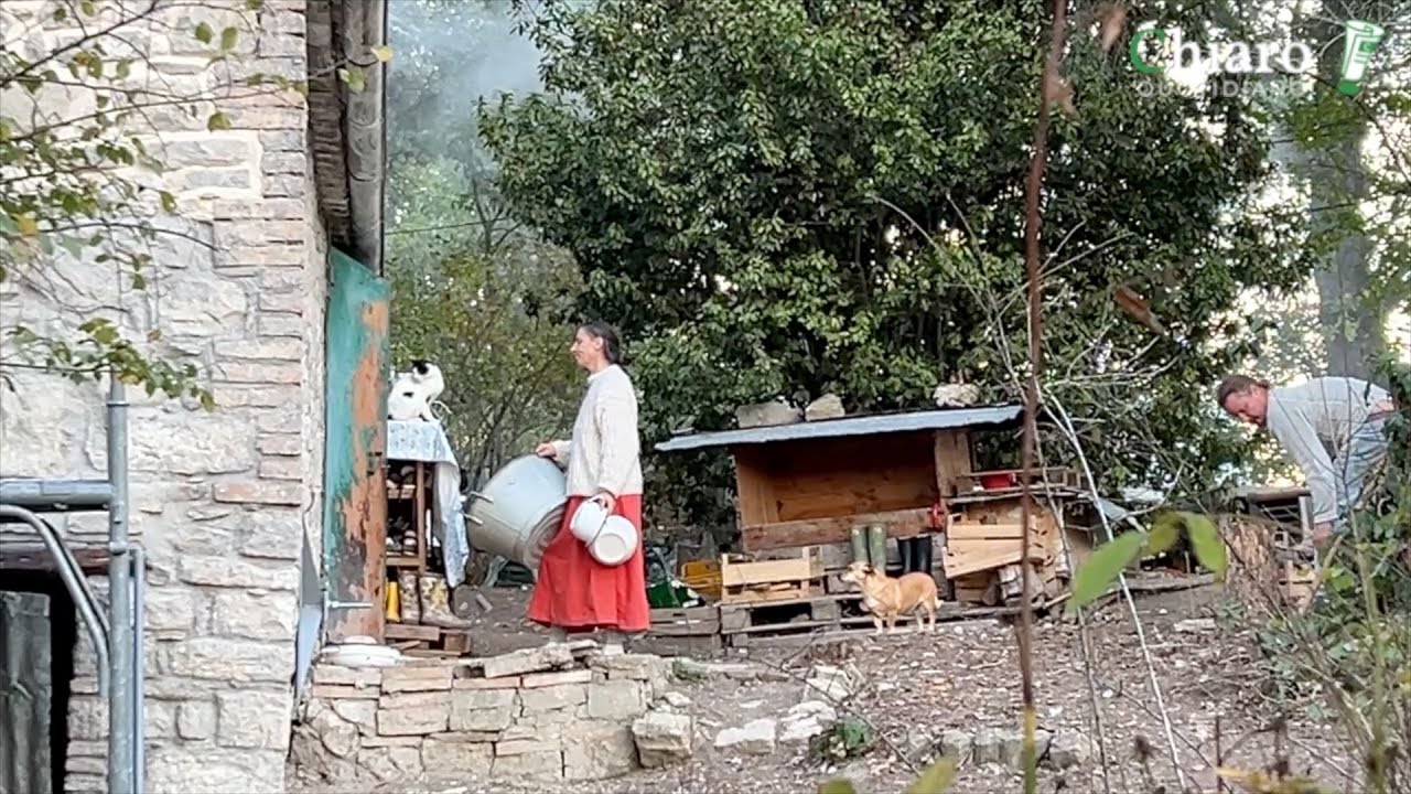 &laquo;Palmoli contrariata e sconcertata per la decisione&raquo;