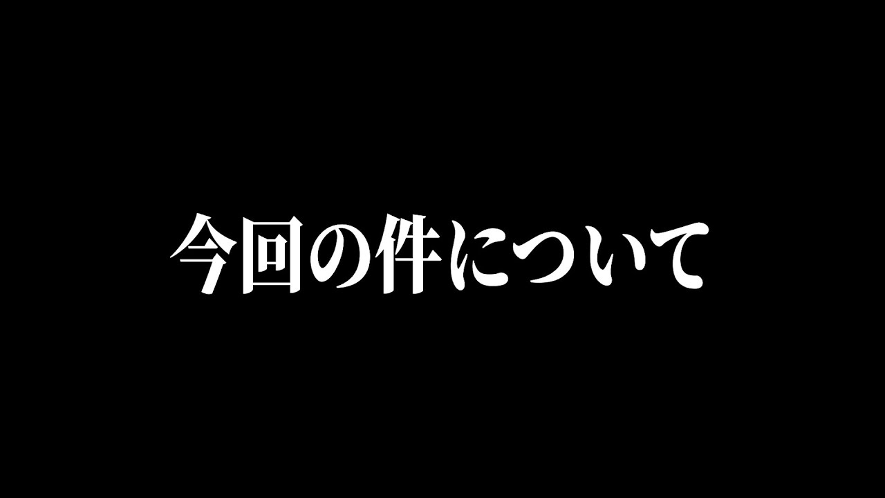 先日出演した動画について