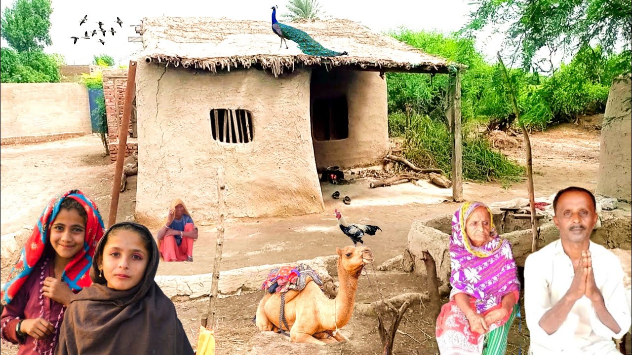 My Life is Very Struggle Sindh Village Life Of Pakistan Sindh Ke Gaon Ka New Special Vlog 