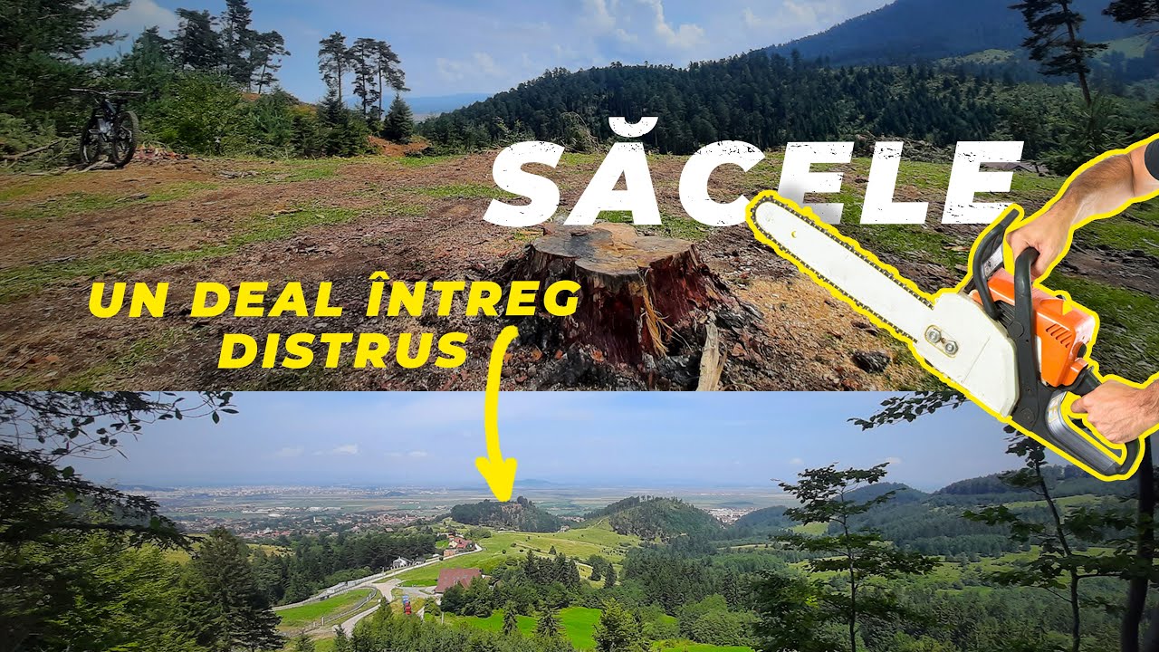 ❗Un deal întreg defrișat❗ Turcheș - SĂCELE