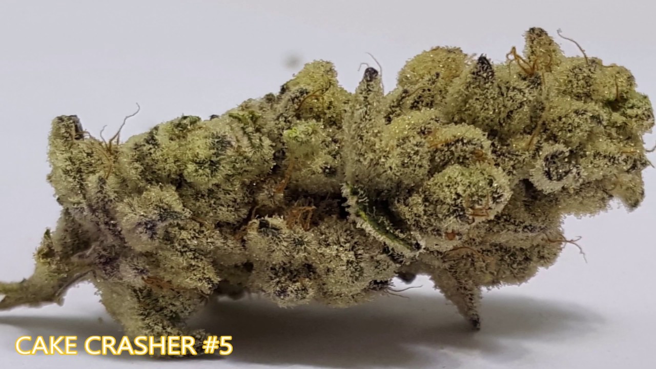 Cake Crasher, K-Smorz, Peanut Butter Breath, Slurricane IX 