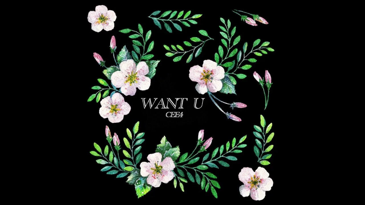 CEE4 - WANT U (Official Audio)
