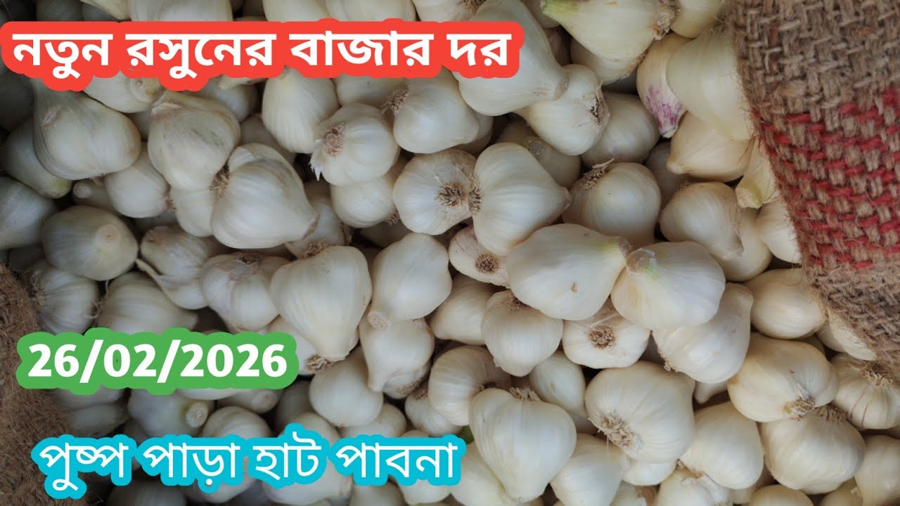 26 February 2026 আজকের নতুন রসুনের বাজার দর। Garlic market price rate in pabna Bangladesh 