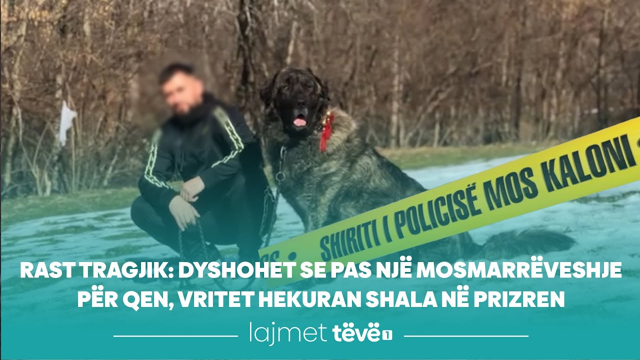 Rast tragjik: Dyshohet se pas një mosmarrëveshje për qen, vritet Hekuran Shala në Prizren