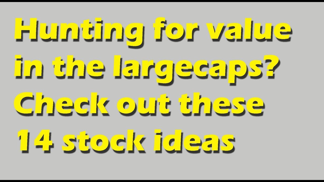 Top 14 stock ideas  in the largecaps for Multibaggers 2018