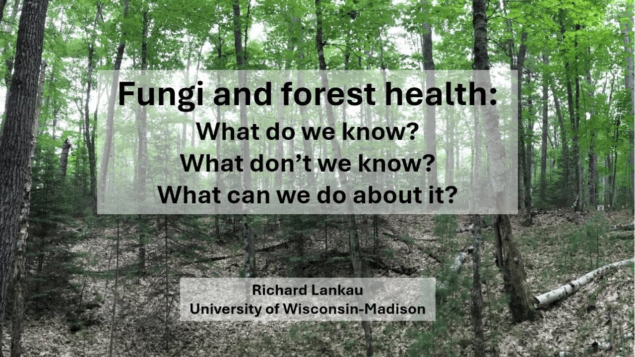Rick Lankau • Forest Fungi and Forest Health • Oct 2025