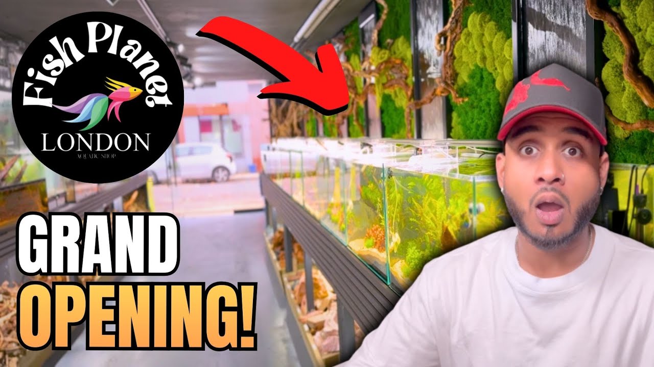 Внутри нового магазина Fish Planet London в Шордиче! Торжественное открытие!