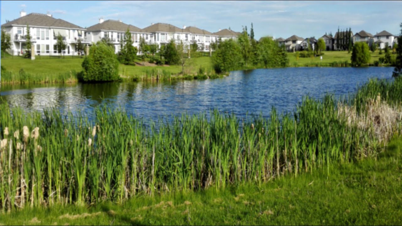 最远的你是我最近的爱 Karaok