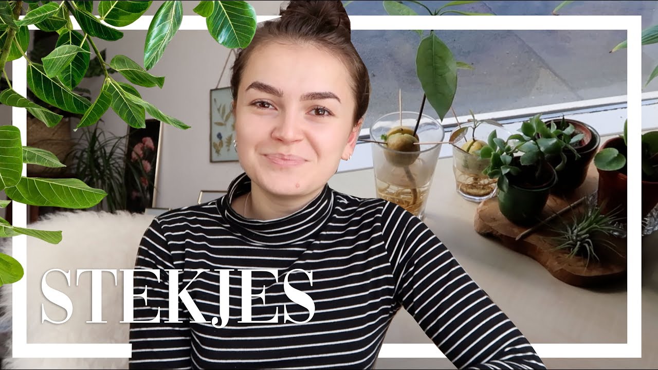STEKJES TOUR | Kim van Haren