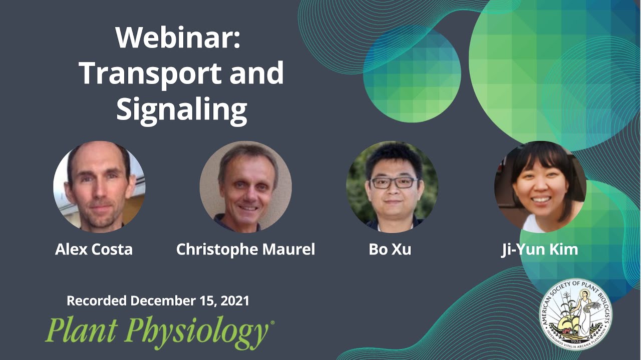Plant Physiology Webinar: Highlighting Focus Issue on Transport and Signaling, Dec. 2021