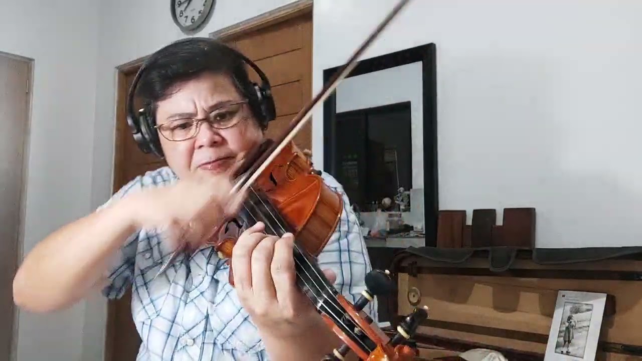 DAYS OF WINE AND ROSES by Henry Mancini (Violin Cover)