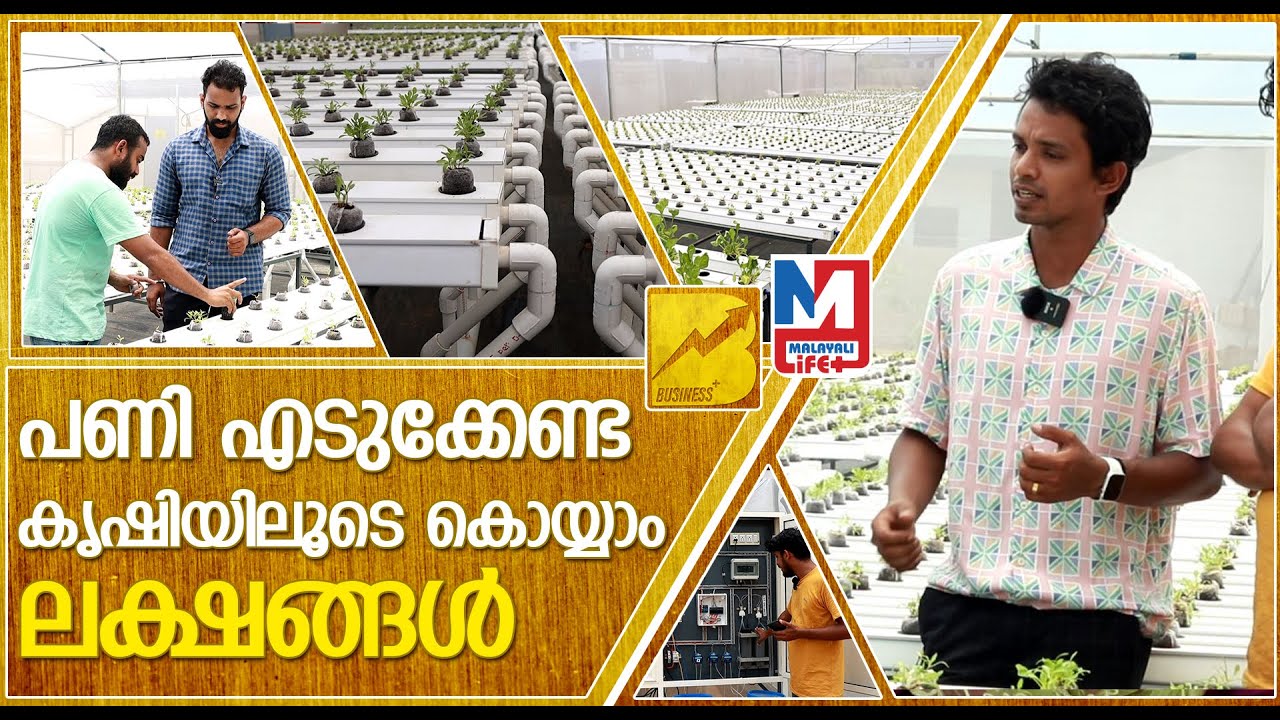 മൊബൈൽ മതി, ഒരു തരി മണ്ണ് വേണ്ട; മരുന്നടിക്കണ്ട,  | Youth Farmers | Business plus