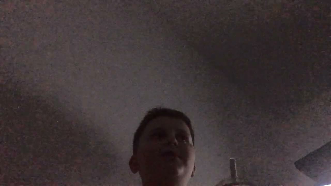 We tried an Oreo milkshake yummm