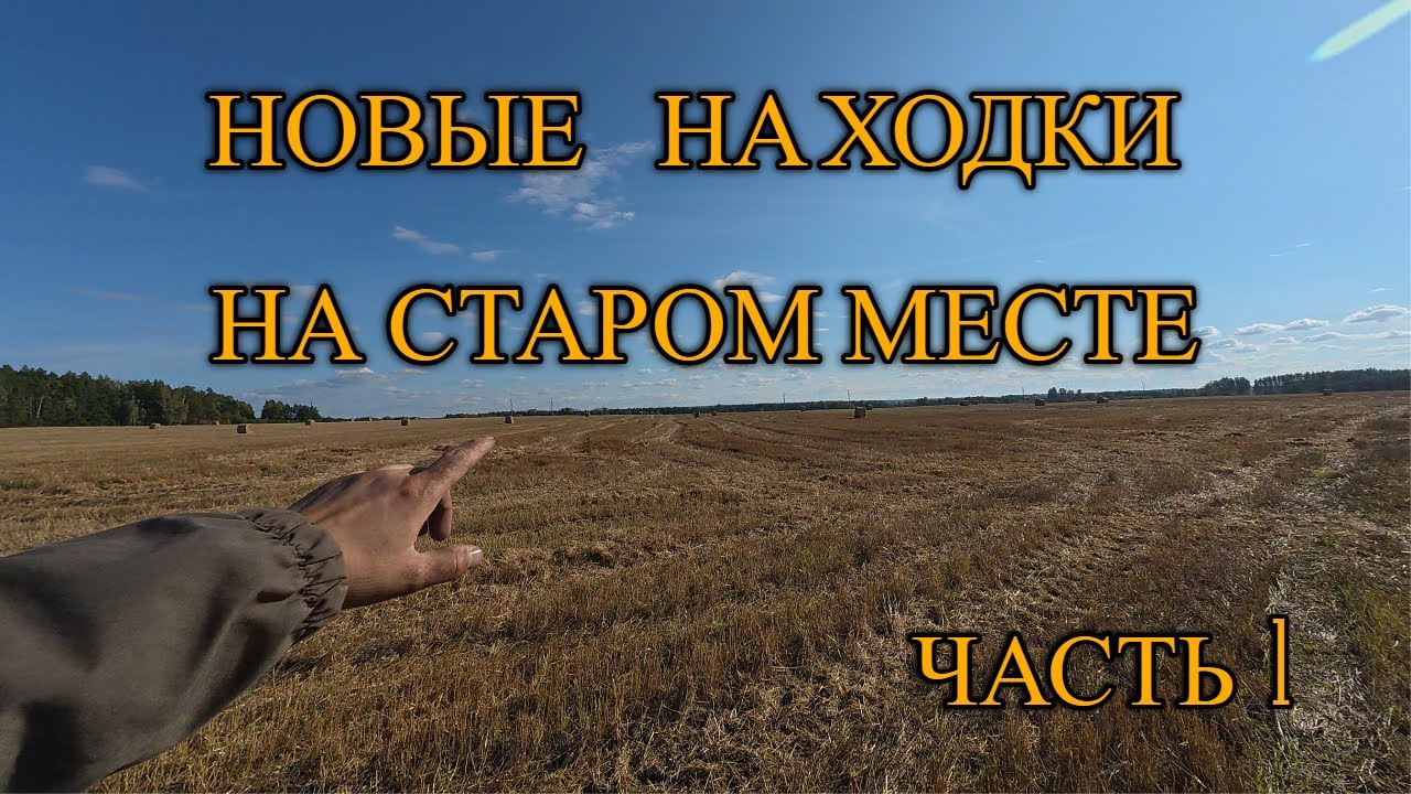 ПОЛЕ, КОТОРОЕ СТАНЕТ ЛЕГЕНДОЙ. ПОИСКИ МОНЕТ. ЧАСТЬ 1. НАШЁЛ ЦАРСКИЕ!