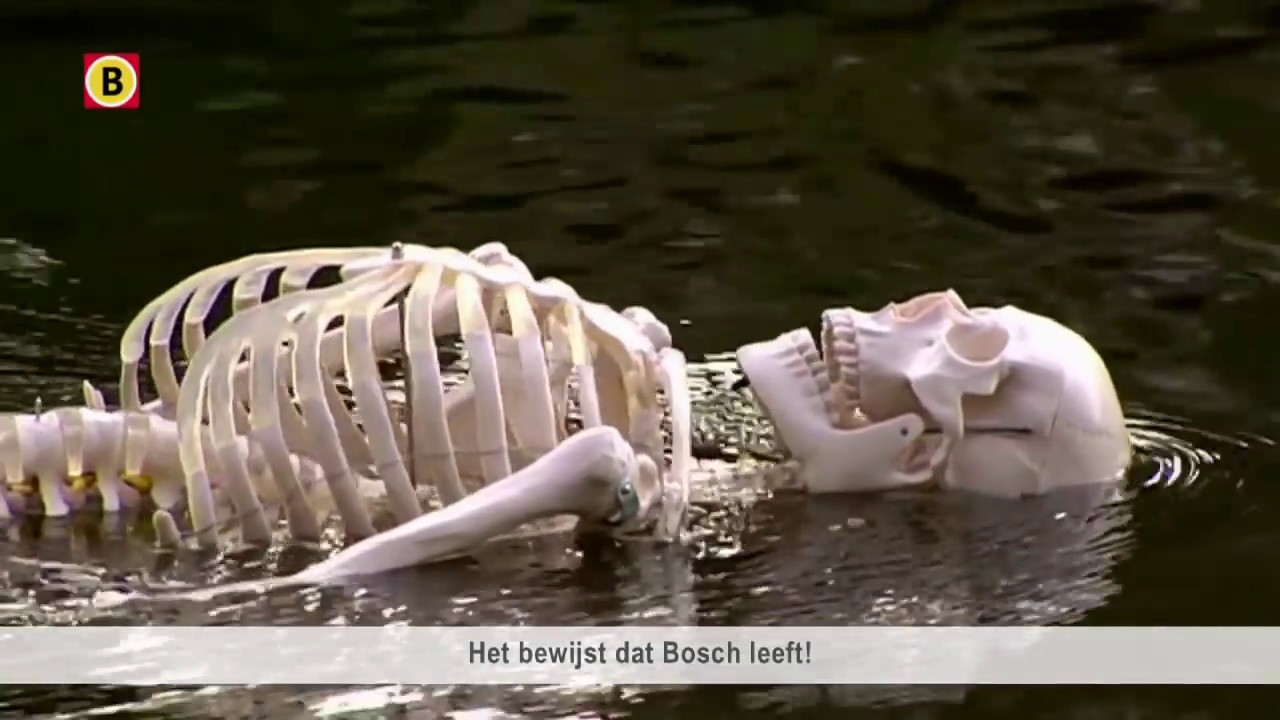 Bosch Parade 2016 // Bosch leeft!
