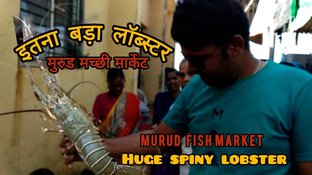MURUD FISH MARKET TOUR