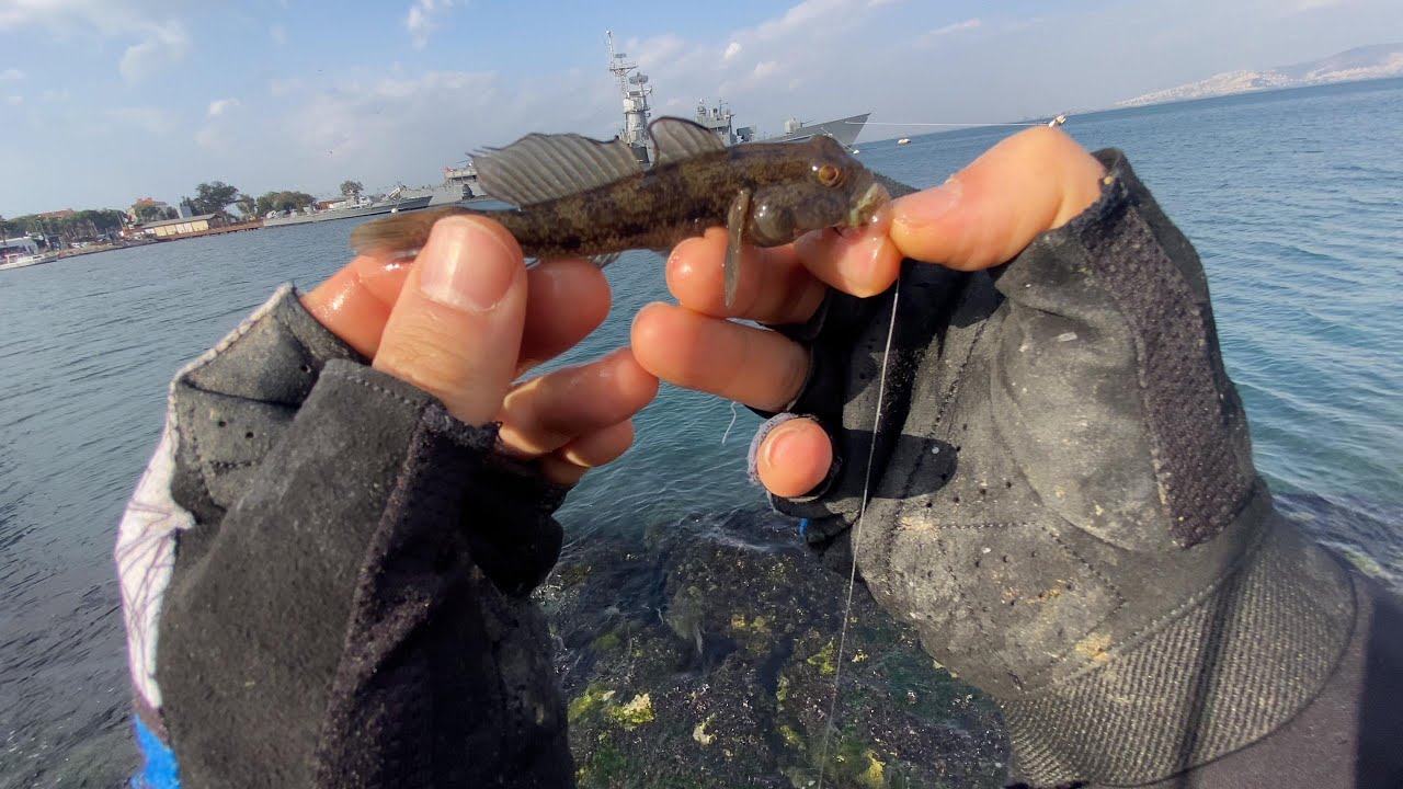 GEMİ KADAR GOBİCHAN! | İzmir LRF |