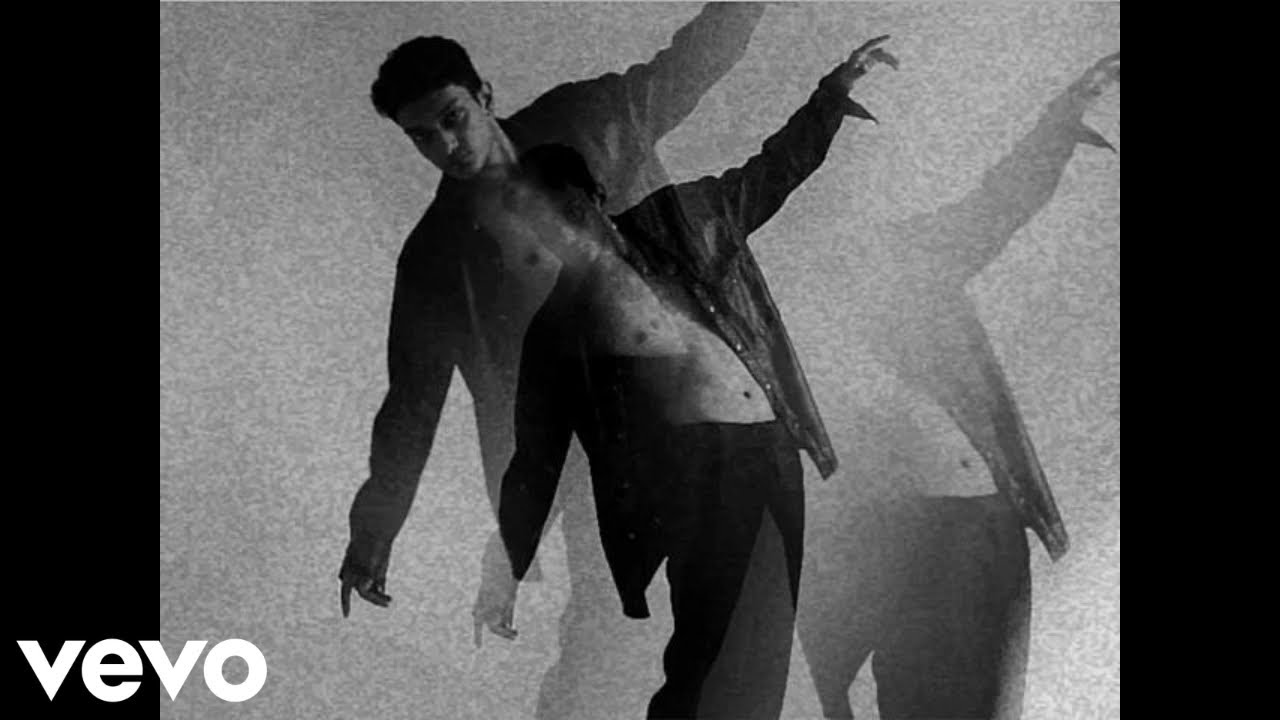 Sherpaa Roy  - go insane (Official Visualizer)