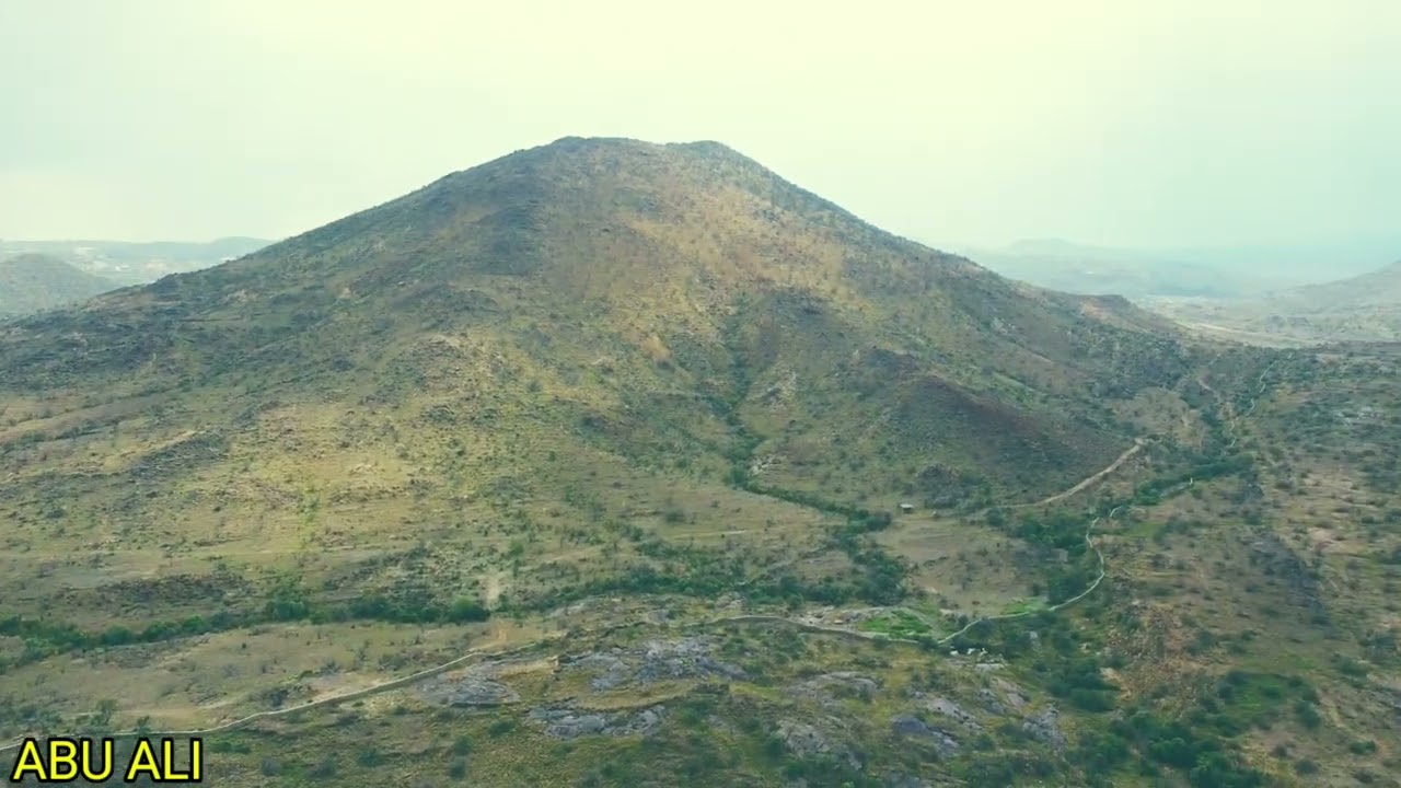 حمى قرية الحميد 