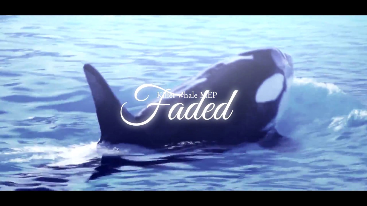 ＦＡＤＥＤ - Killer Whale MEP
