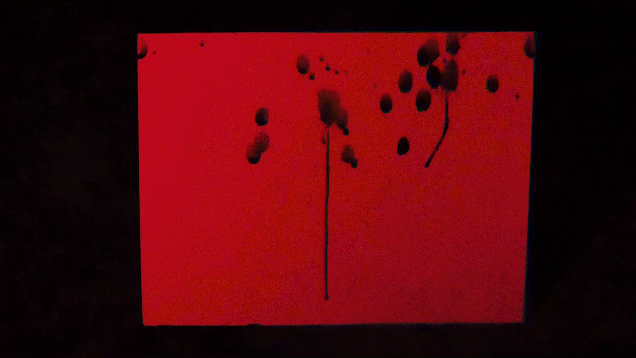 homme - Noisy Lady【MV】