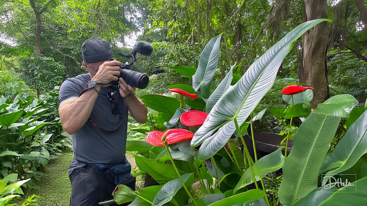 Secrets of Macro Photography in the Hawaiian Jungle with Canon's 100 MM