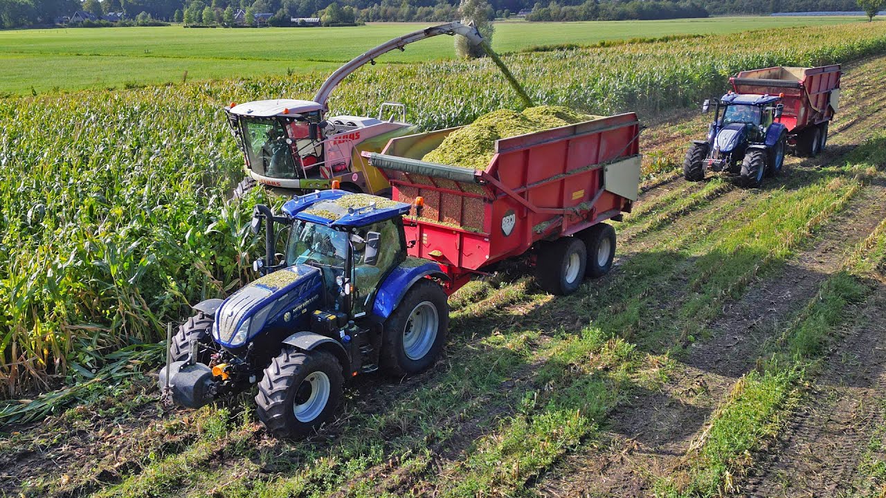 Mais Silage 2025 | Claas Jaguar + New Holland + Valtra | Geresteijn & Brouwer