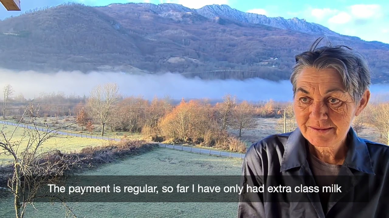 Montenegro: A win-win partnership is boosting small farmer milk production