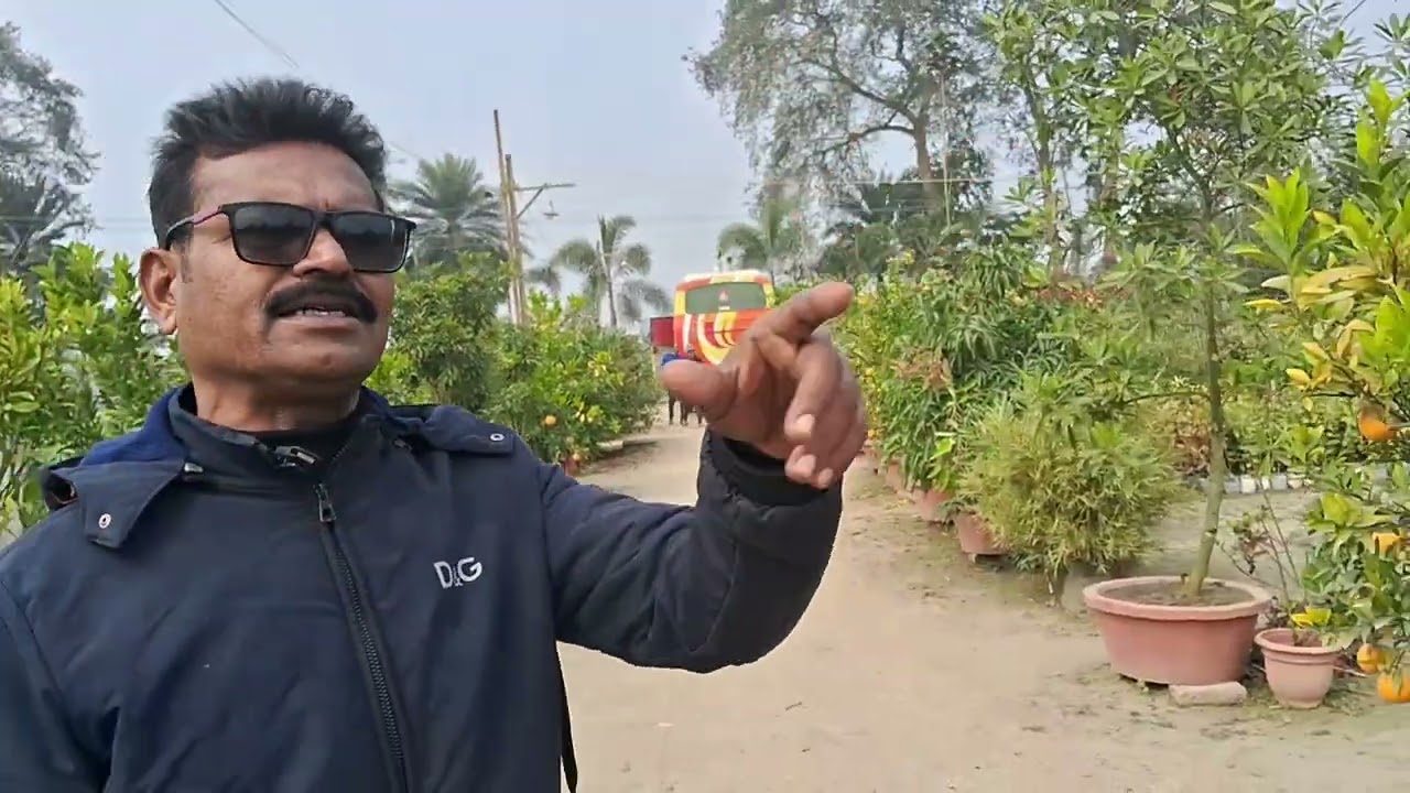 বিকাশ নার্সারী l Bikash Nursery, ফ্রুট প্লান্ট নার্সারী l 