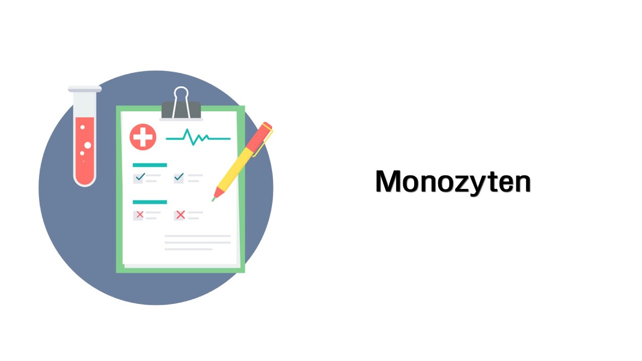 Monozyten - Laborwerte / Blutbild