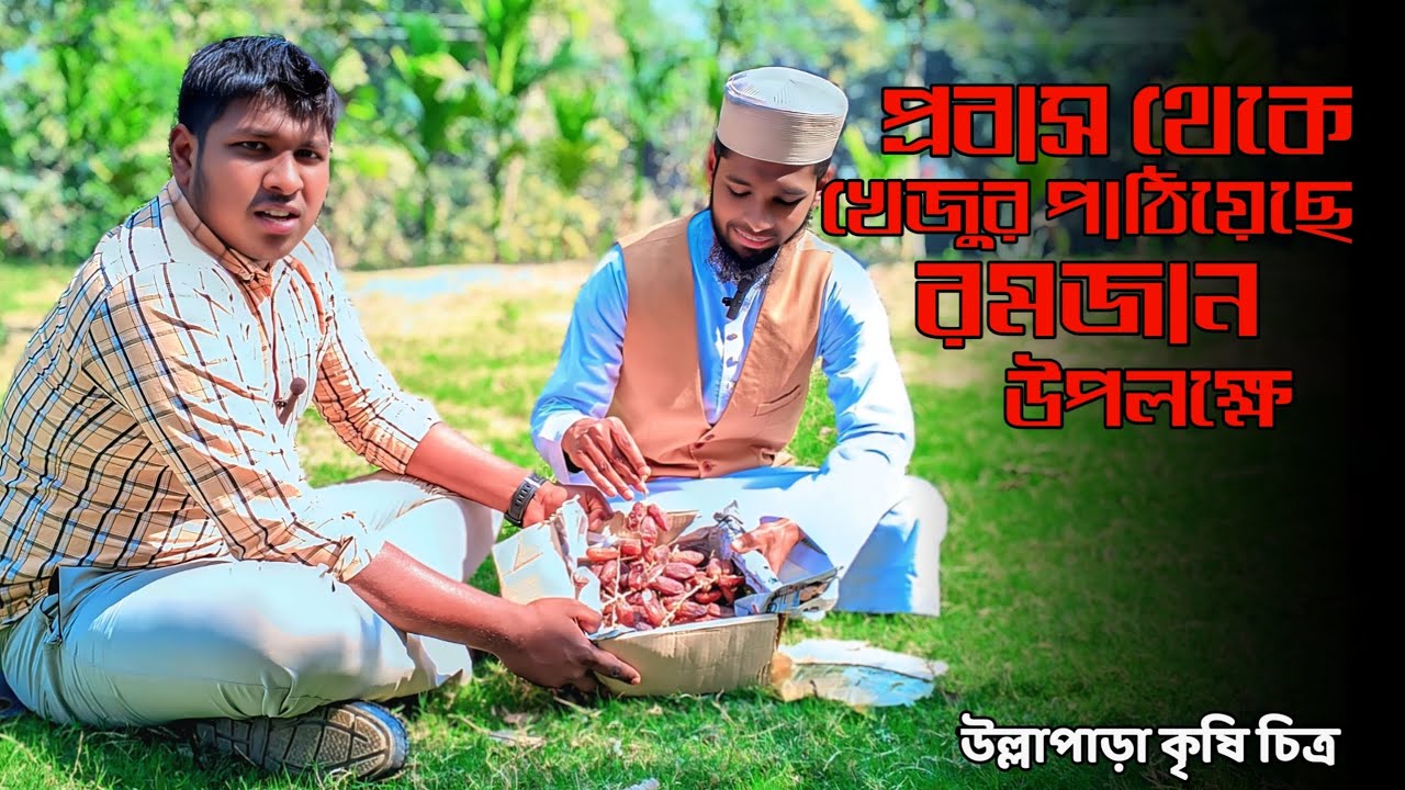 প্রবাস থেকে খেজুর পাঠিয়েছে আলহামদুলিল্লাহ || Ullapara Krishi Chitro 