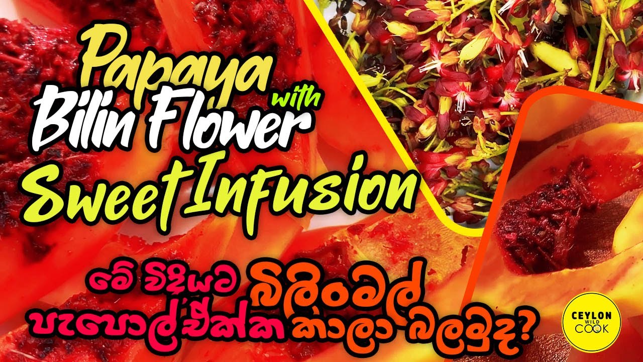 Papaya-Bilin Flower Sweet Infusion 🌱🍬