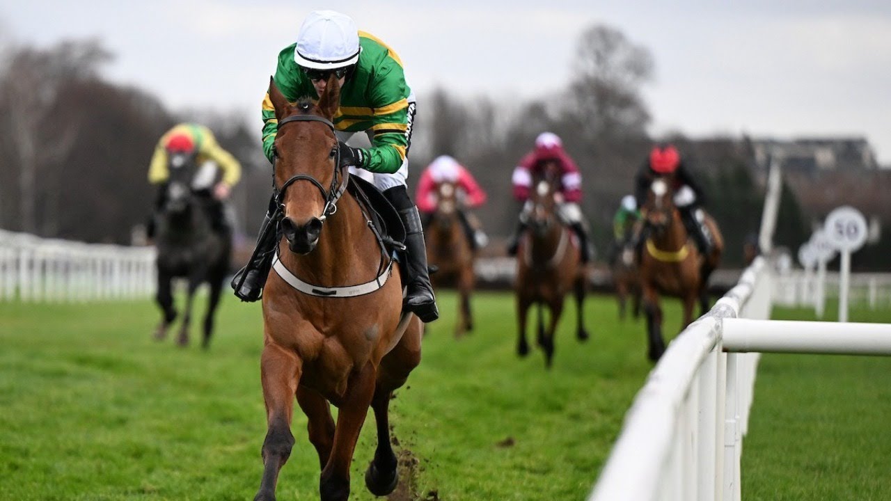 Narciso Has outlines Triumph Hurdle credentials at Leopardstown | Racing TV
